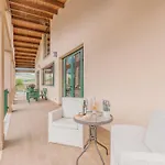 Le Vigne Di Clementina Fabi Lantgård Montedinove