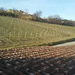 Le Vigne Di Clementina Fabi Lantgård *