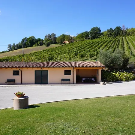 Le Vigne Di Clementina Fabi * Montedinove