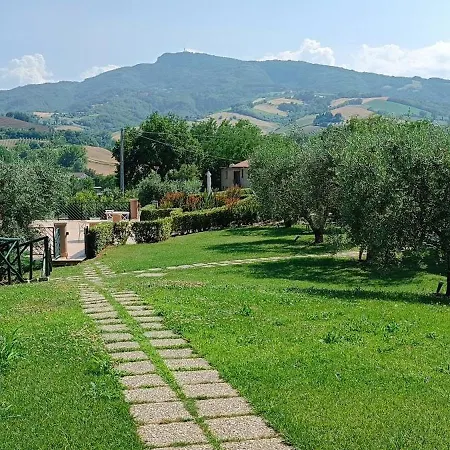Le Vigne Di Clementina Fabi * Montedinove