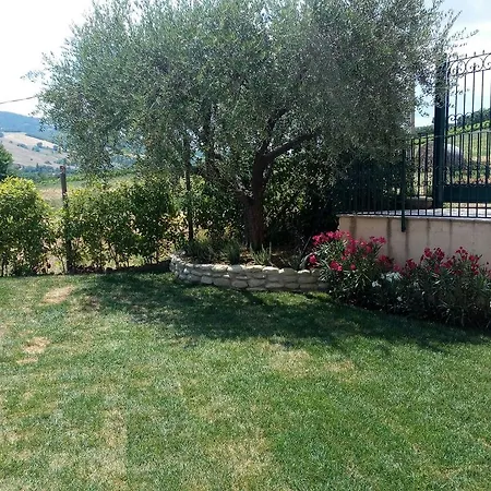 Le Vigne Di Clementina Fabi * Montedinove